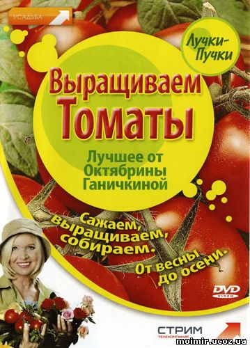 Выращиваем томаты